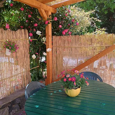 La Casa Dei Due Aranci Albisola Superiore