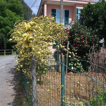 La Casa Dei Due Aranci Casa vacanze