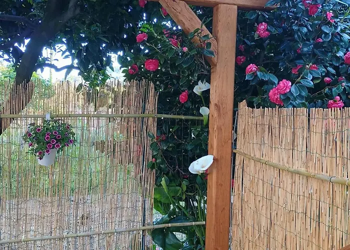 Vakantiehuis La Casa Dei Due Aranci Albisola Superiore